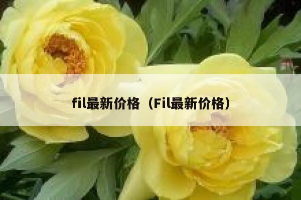 pi币钱包app下载 PI币app软件下载-第6张图片-欧易交易所 pi币钱包app下载 PI币app软件下载-第6张图片-欧易交易所