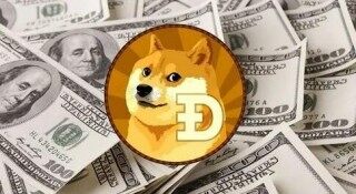 狗狗币每年增发多少(狗狗币每年增发50亿属于谁)