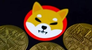 柴犬币五年后能涨多少(柴犬币涨幅多少)