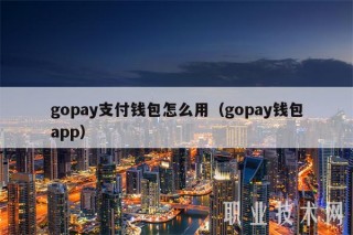 gopay支付钱包怎么用(gopay钱包app)