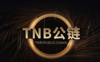 2022pi币kyc认证后能变现吗(比特币需要kyc认证吗)